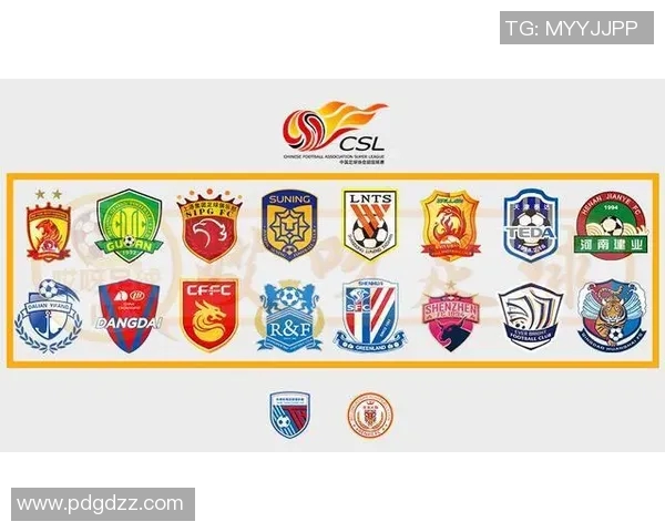 广州排球队实力引发热议球迷对球队未来发展看法各异