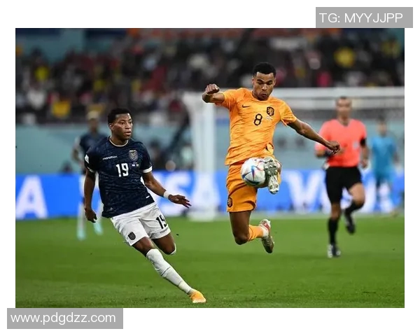 加克波：从新星崛起到足坛巨星的成长之路与未来展望