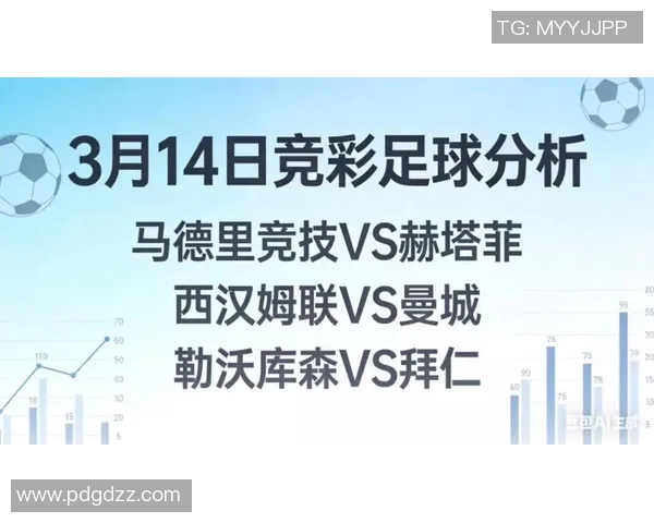 拜仁慕尼黑与马德里竞技首回合激战回顾与精彩瞬间分析