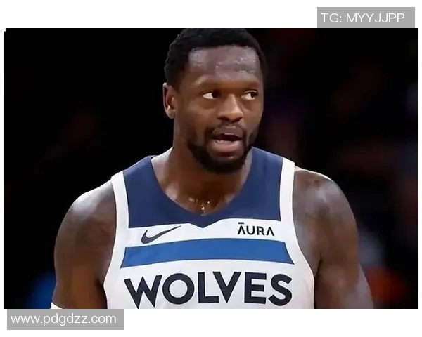 朱利叶斯兰德尔的篮球之路：从新秀到全明星的蜕变与挑战