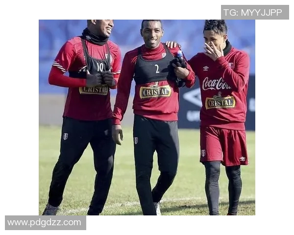 瑞典与秘鲁对阵分析谁将在这场比赛中占据主场优势