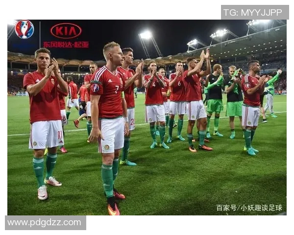 北爱尔兰与匈牙利足球对决全面分析及战术解析