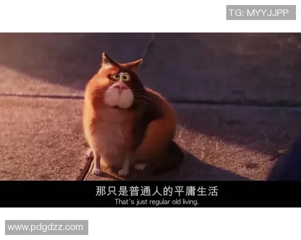 林葳：在繁华与宁静之间探索自我成长的心灵之旅